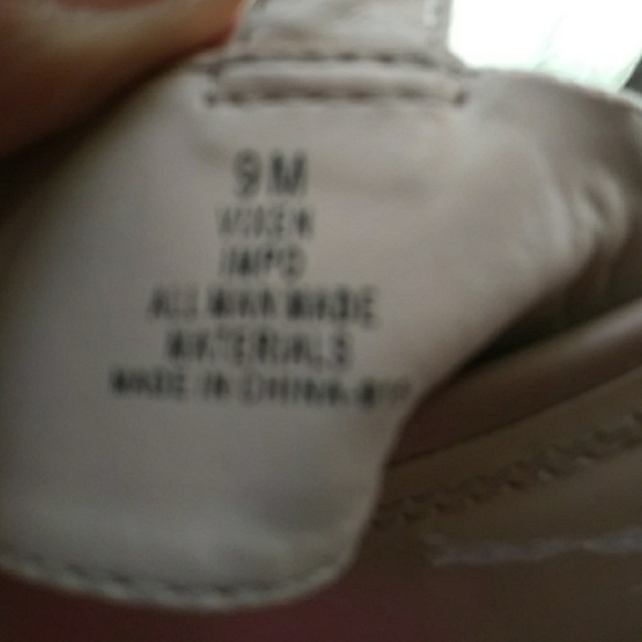 Scandals - Picture 5 of 6